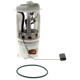 Purchase Top-Quality Fuel Pump Module Assembly by CARTER - P76067M pa2