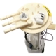 Purchase Top-Quality Fuel Pump Module Assembly by DELPHI - FG0061 pa11