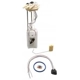 Purchase Top-Quality Fuel Pump Module Assembly by DELPHI - FG0068 pa30
