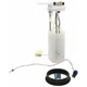 Purchase Top-Quality Fuel Pump Module Assembly by DELPHI - FG0111 pa24