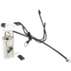 Purchase Top-Quality Fuel Pump Module Assembly by DELPHI - FG0138 pa54