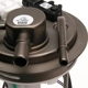 Purchase Top-Quality DELPHI - FG0392 - Fuel Pump Module Assembly pa14