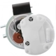 Purchase Top-Quality Fuel Pump Module Assembly by DELPHI - FG0399 pa31