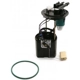Purchase Top-Quality Fuel Pump Module Assembly by DELPHI - FG0491 pa25