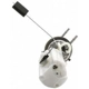 Purchase Top-Quality Fuel Pump Module Assembly by DELPHI - FG0810 pa17