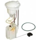 Purchase Top-Quality Fuel Pump Module Assembly by DELPHI - FG0817 pa18