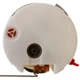 Purchase Top-Quality Fuel Pump Module Assembly by DELPHI - FG0833 pa16
