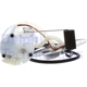 Purchase Top-Quality Fuel Pump Module Assembly by DELPHI - FG0835 pa29