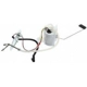 Purchase Top-Quality Fuel Pump Module Assembly by DELPHI - FG0954 pa1