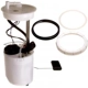 Purchase Top-Quality Fuel Pump Module Assembly by DELPHI - FG0958 pa25