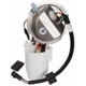 Purchase Top-Quality Fuel Pump Module Assembly by DELPHI - FG1113 pa19