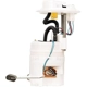 Purchase Top-Quality Fuel Pump Module Assembly by DELPHI - FG1189 pa39