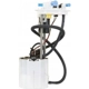 Purchase Top-Quality Fuel Pump Module Assembly by DELPHI - FG1295 pa41