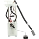 Purchase Top-Quality Fuel Pump Module Assembly by DELPHI - FG1333 pa36