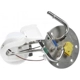 Purchase Top-Quality Fuel Pump Module Assembly by DELPHI - FG1703 pa28