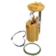 Purchase Top-Quality Fuel Pump Module Assembly by DELPHI - FG1711 pa27