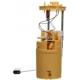 Purchase Top-Quality Ensemble de module de pompe à carburant par DELPHI - FG1711 pa30