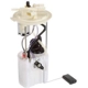 Purchase Top-Quality Fuel Pump Module Assembly by DELPHI - FG2066 pa1