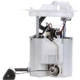 Purchase Top-Quality Fuel Pump Module Assembly by DELPHI - FG2074 pa5