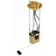 Purchase Top-Quality Fuel Pump Module Assembly by DELPHI - FG2248 pa1