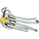Purchase Top-Quality Fuel Pump Module Assembly by US MOTOR WORKS - USEP3623S pa3
