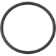 Purchase Top-Quality Fuel Pump O-Ring by GENUINE OE - LR 010861 pa1