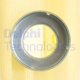 Purchase Top-Quality Fuel Pump Strainer by DELPHI - FS0031 pa22