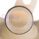 Purchase Top-Quality Fuel Pump Strainer by DELPHI - FS0091 pa17