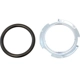 Purchase Top-Quality Fuel Pump Tank Seal by AGILITY - 4060115 pa1