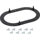Purchase Top-Quality Fuel Pump Tank Seal by DELPHI - FA10032 pa3