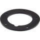 Purchase Top-Quality Fuel Pump Tank Seal by URO - 477919133 pa4