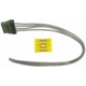 Purchase Top-Quality Fuel Sender Connector by BLUE STREAK (HYGRADE MOTOR) - S1352 pa23
