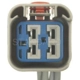 Purchase Top-Quality Fuel Sender Connector by BLUE STREAK (HYGRADE MOTOR) - S1365 pa1