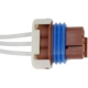 Purchase Top-Quality Fuel Sender Connector by DORMAN/TECHOICE - 645-300 pa5
