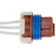 Purchase Top-Quality Fuel Sender Connector by DORMAN/TECHOICE - 645-300 pa7