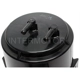 Purchase Top-Quality Fuel Vapor Storage Canister by BLUE STREAK (HYGRADE MOTOR) - CP3005 pa3