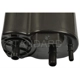 Purchase Top-Quality Fuel Vapor Storage Canister by BLUE STREAK (HYGRADE MOTOR) - CP3491 pa2
