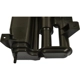 Purchase Top-Quality BLUE STREAK (HYGRADE MOTOR) - CP3661 - Fuel Vapor Storage Canister pa3