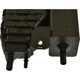 Purchase Top-Quality Fuel Vapor Storage Canister by BLUE STREAK (HYGRADE MOTOR) - CP3665 pa2