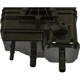 Purchase Top-Quality Fuel Vapor Storage Canister by BLUE STREAK (HYGRADE MOTOR) - CP3670 pa1