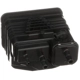 Purchase Top-Quality BLUE STREAK (HYGRADE MOTOR) - CP3703 - Fuel Vapor Storage Canister pa6
