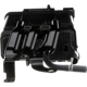 Purchase Top-Quality Fuel Vapor Storage Canister by BLUE STREAK (HYGRADE MOTOR) - CP3756 pa2
