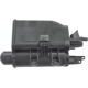 Purchase Top-Quality Fuel Vapor Storage Canister by BLUE STREAK (HYGRADE MOTOR) - CP3789 pa2