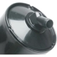 Purchase Top-Quality Fuel Vapor Storage Canister by BLUE STREAK (HYGRADE MOTOR) - CP3013 pa1