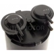 Purchase Top-Quality Fuel Vapor Storage Canister by BLUE STREAK (HYGRADE MOTOR) - CP3113 pa1