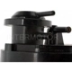 Purchase Top-Quality Fuel Vapor Storage Canister by BLUE STREAK (HYGRADE MOTOR) - CP3115 pa1