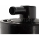 Purchase Top-Quality Fuel Vapor Storage Canister by BLUE STREAK (HYGRADE MOTOR) - CP3115 pa3