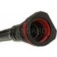 Purchase Top-Quality Cartouche de stockage des vapeurs de carburant de BLUE STREAK (HYGRADE MOTOR) - CP3232 pa2