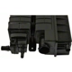 Purchase Top-Quality Fuel Vapor Storage Canister by BLUE STREAK (HYGRADE MOTOR) - CP3344 pa5