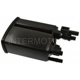 Purchase Top-Quality Fuel Vapor Storage Canister by BLUE STREAK (HYGRADE MOTOR) - CP3371 pa3